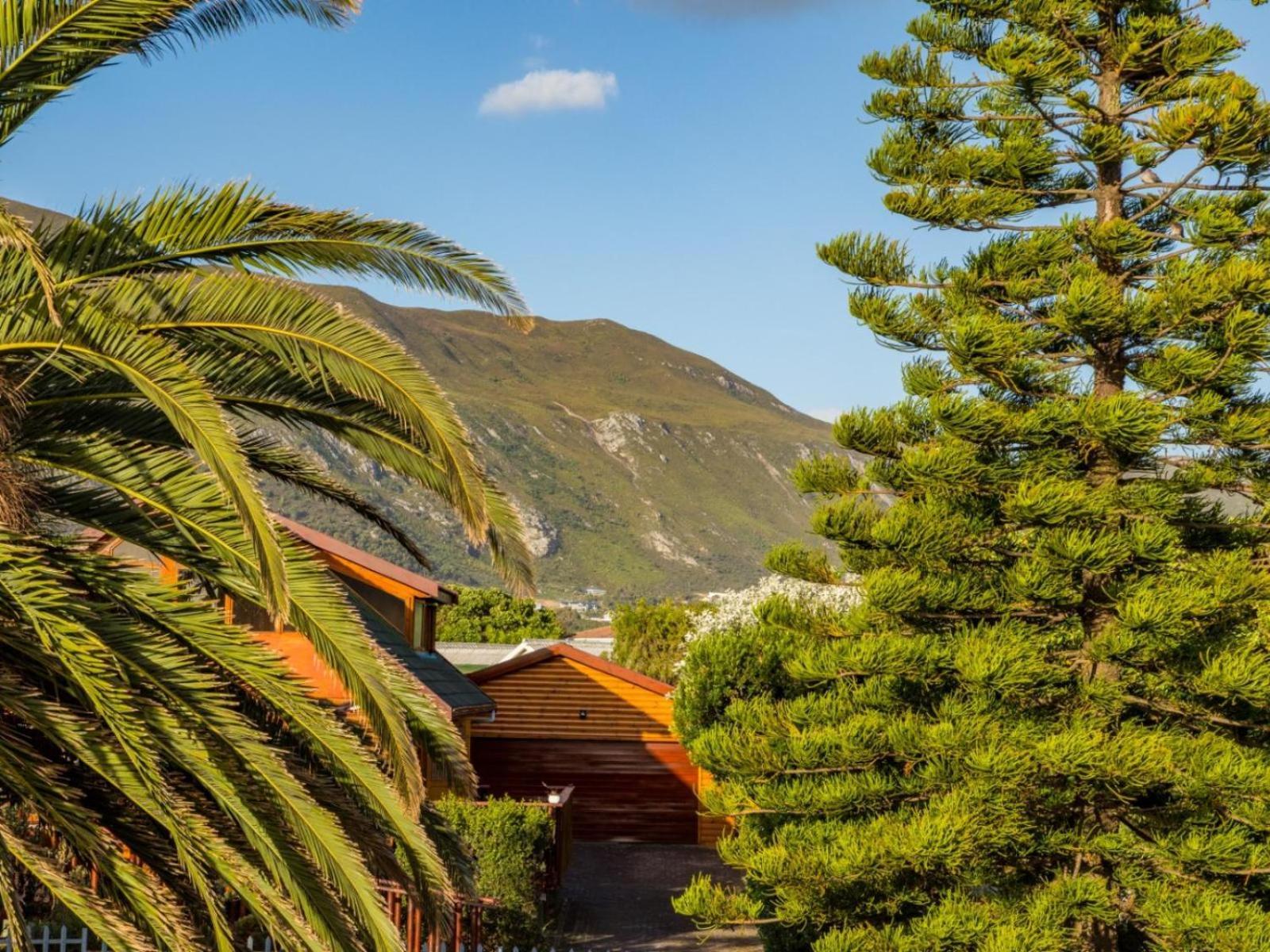 Two Palm House - Vermont Hermanus Oda fotoğraf