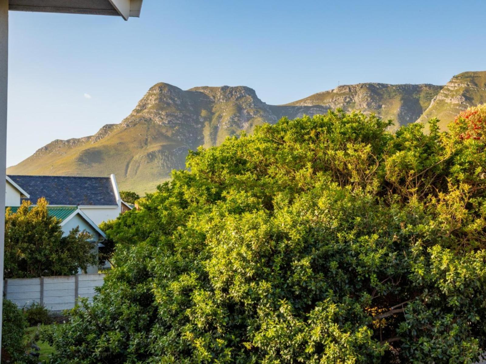 Two Palm House - Vermont Hermanus Oda fotoğraf