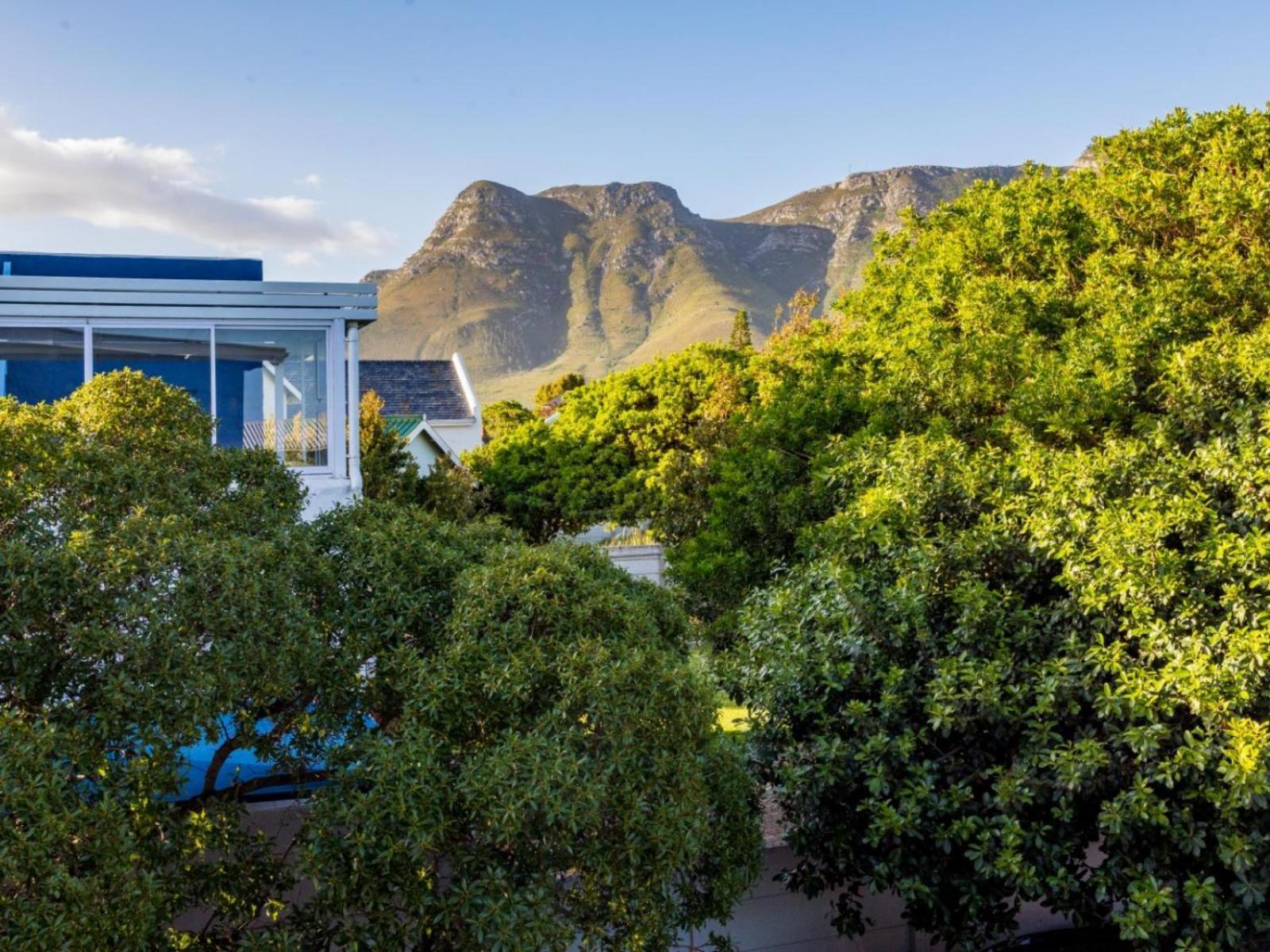 Two Palm House - Vermont Hermanus Oda fotoğraf